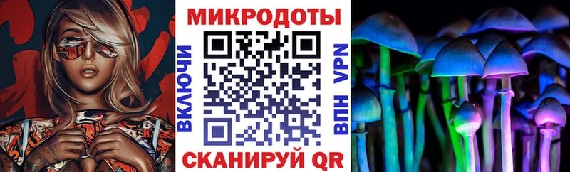 наркошоп  Ясногорск  Псилоцибиновые грибы Psilocybine cubensis 